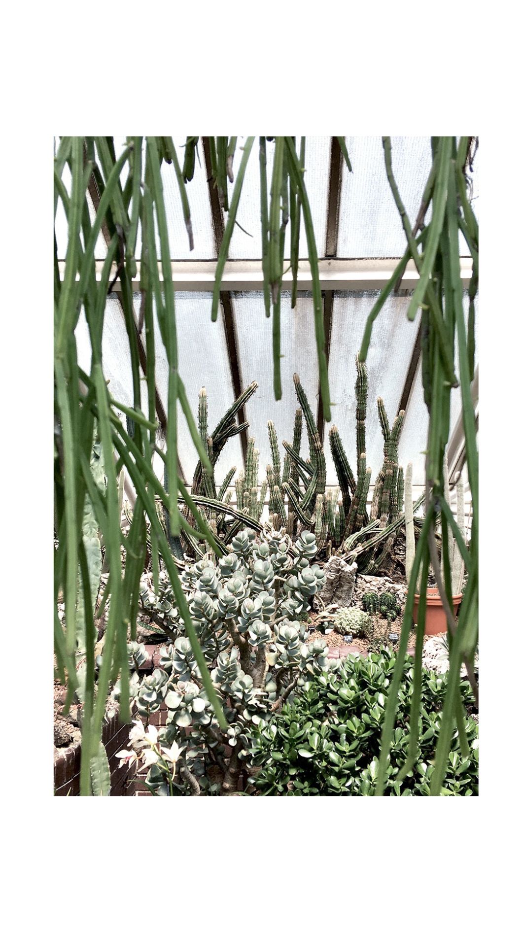 instagrammer-in-residence-tiny-kingdom