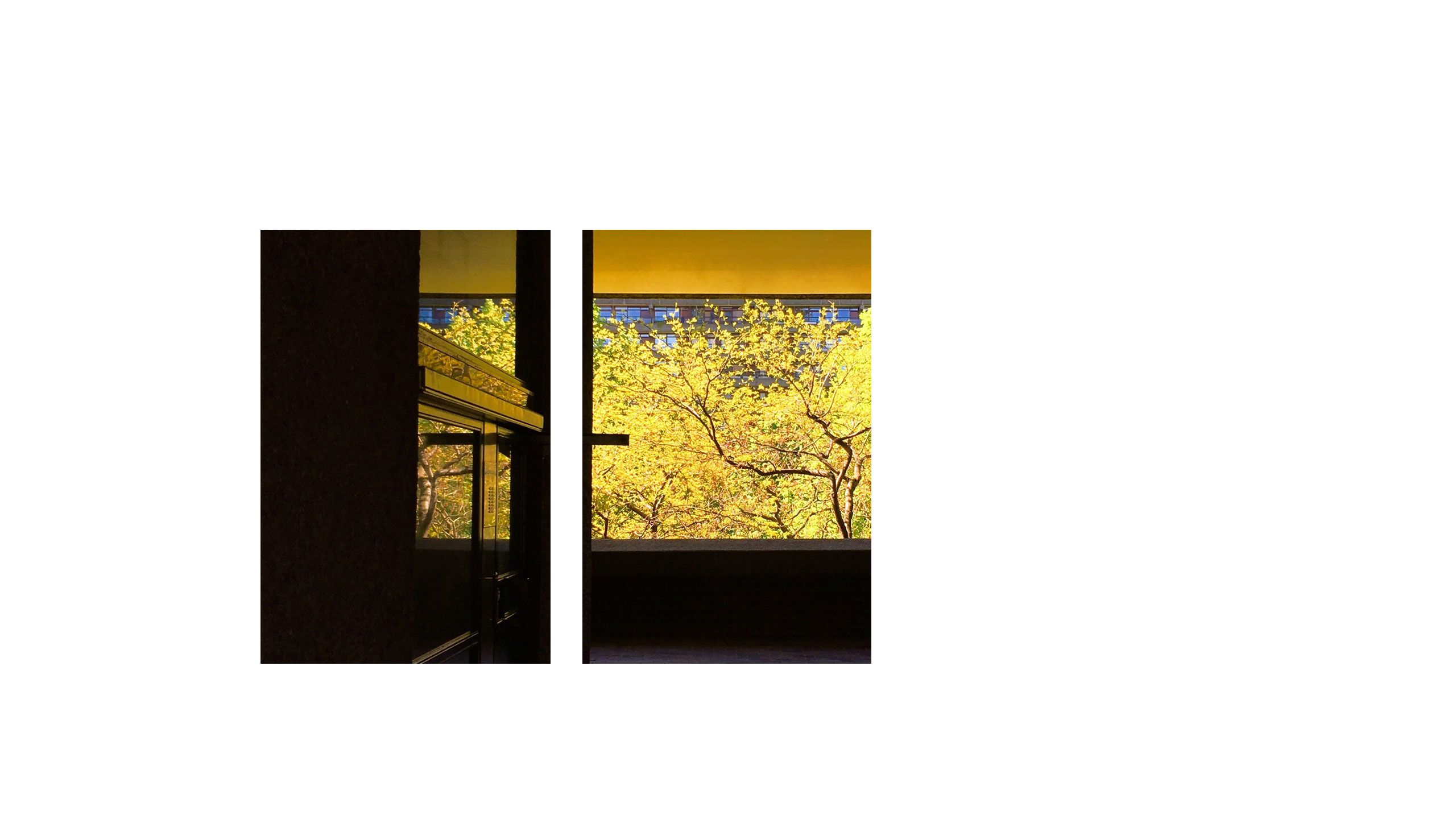 instagrammer-in-residence-tiny-kingdom